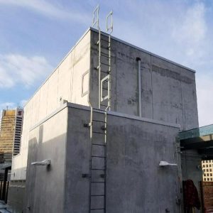 Roof Ladders on Commercial Building